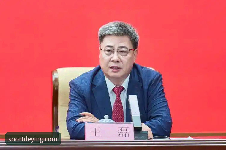 资深用户王磊分享：从德比斯绝杀夺冠看2026德赢移动端下载赛事体验